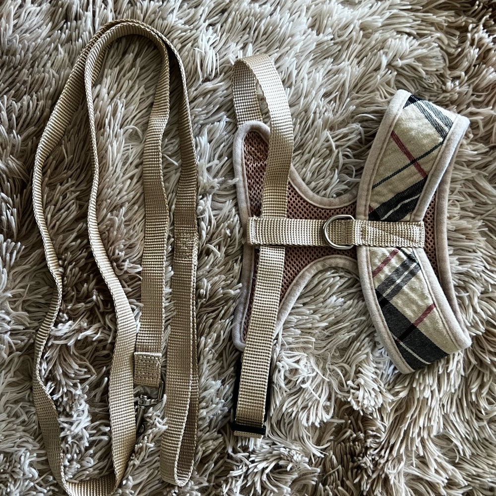 Puptech Dog Harness and leash - Picture 2 of 2